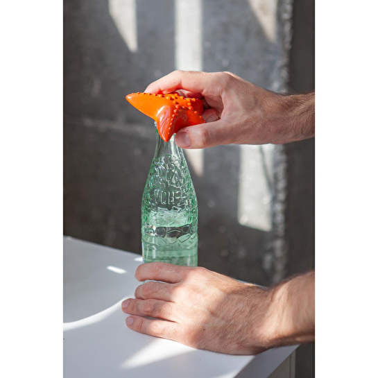 Doiy Ocean Dreams Deniz Yıldızı Şişe Açacağı