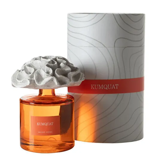 Mudo Home Taş Mercan Kumquat Oda Kokusu 500ml