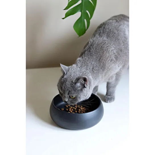 Beige & Stone Beige And Stone Seramik El Yapımı Mama / Su Kabı (s) - Siyah