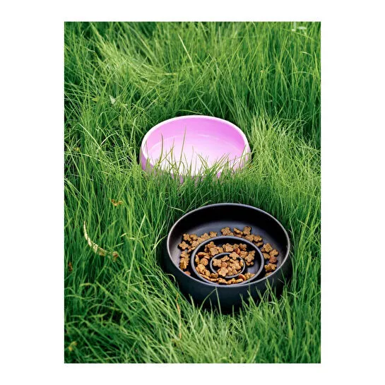 Beige & Stone Slow Eat Yavaş Yeme Seramik Mama Kasesi L Siyah