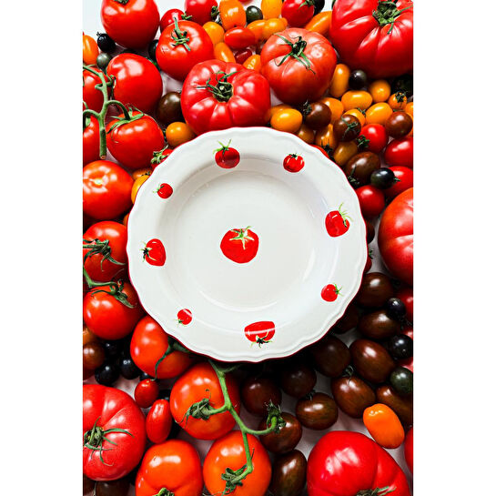 Rakle Pomodoro Stoneware 4'lü Yemek Tabağı Seti 23 Cm