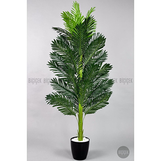 Biçiçek Yapay Areka Ağacı 160-180 Cm Ağaç160cm