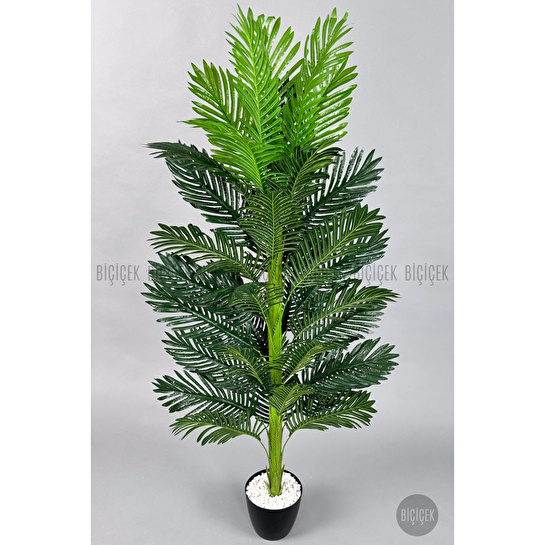 Biçiçek Yapay Areka Ağacı 160-180 Cm Ağaç160cm