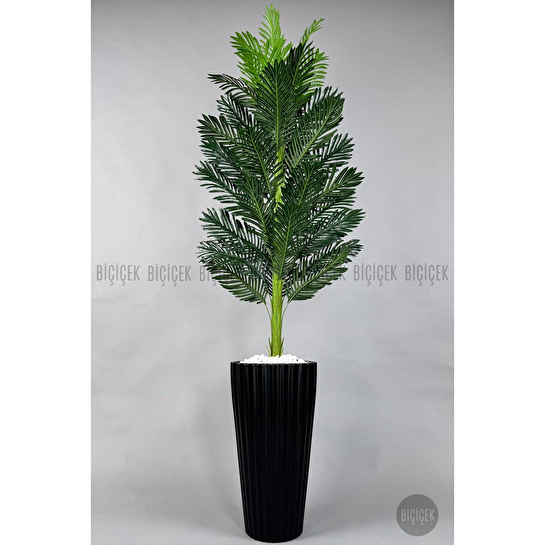 Biçiçek Yapay Areka Ağacı 220 Cm Siyah
