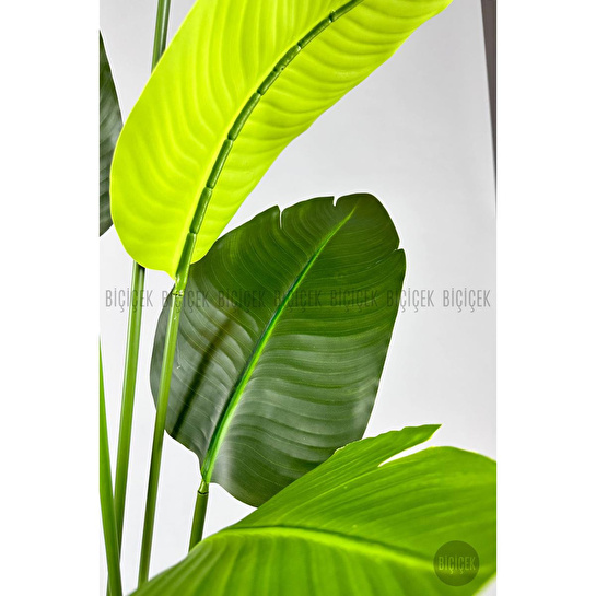 Biçiçek Yapay Muz Ağacı 145-185 Cm Siyahh