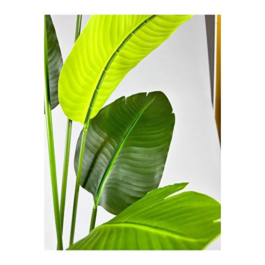 Biçiçek Yapay Muz Ağacı 145-185 Cm Siyahhh