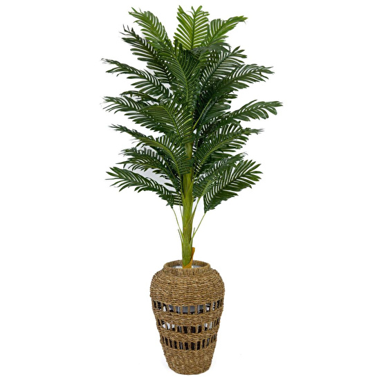Biçiçek Luxury Areka Palmiyesi 160cm Hasır Saksıda Bohem3