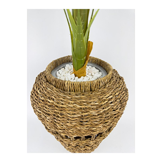 Biçiçek Luxury Areka Palmiyesi 160cm Hasır Saksıda Bohem3