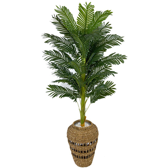 Biçiçek Luxury Areka Palmiyesi 160cm Hasır Saksıda Bohem3