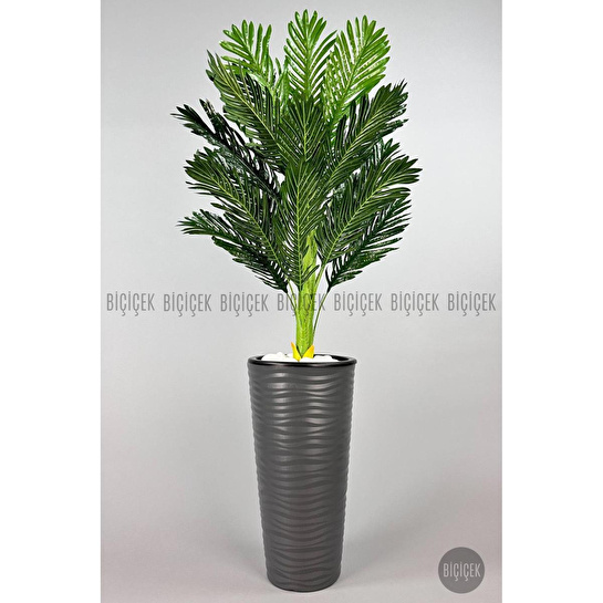 Biçiçek 150cm Areka Ağacı Kumsal Saksıda 2