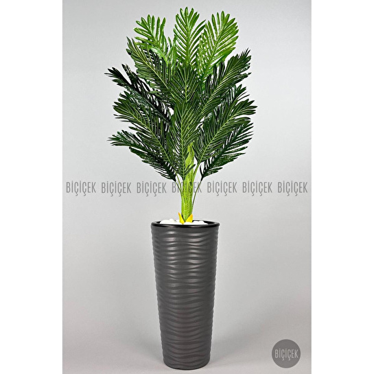 Biçiçek 150cm Areka Ağacı Kumsal Saksıda 2