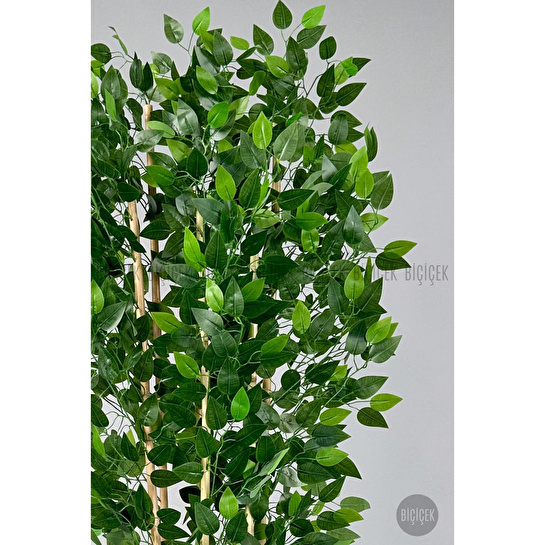 Biçiçek Yapay Bambu Ve Benjamin 6 Dallı Yoğun Yapraklı 220 Cm Siyahbenjami̇n