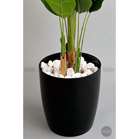 Biçiçek Yapay Ağaç Starliçe Bambu Gövdeli 220cm Büyük Boy Siyah Renk Yakut Saksıda