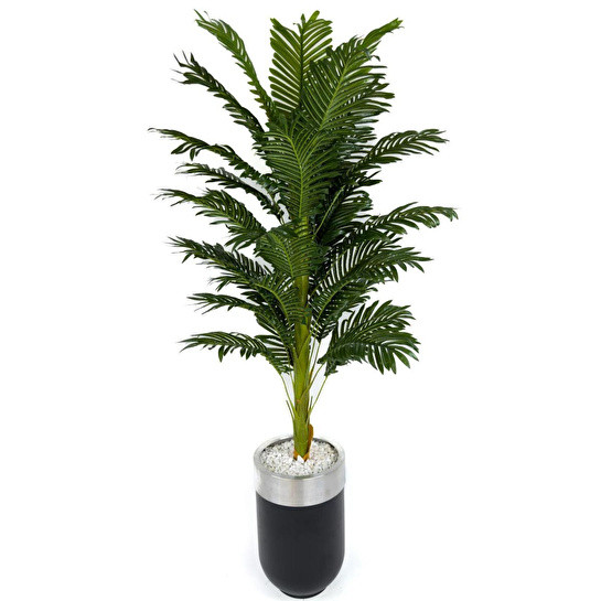 Biçiçek Areka Palmiyesi 170cm Metal Siyah Gümüş Darbuka Saksıda