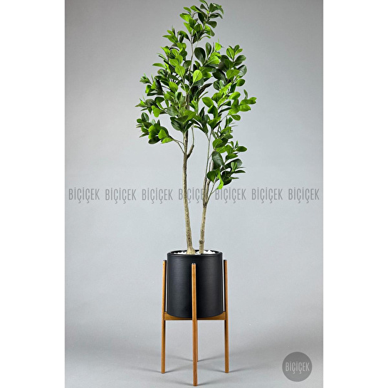 Biçiçek Yapay Manolya Ağacı 150-180cm Siyah1