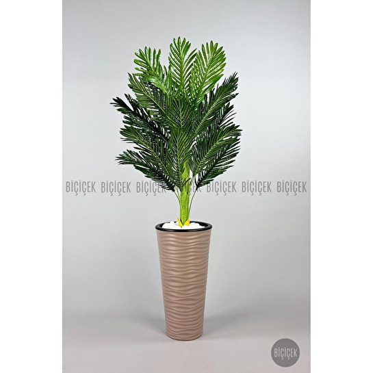 Biçiçek 150cm Areka Ağacı Kumsal Saksıda 3