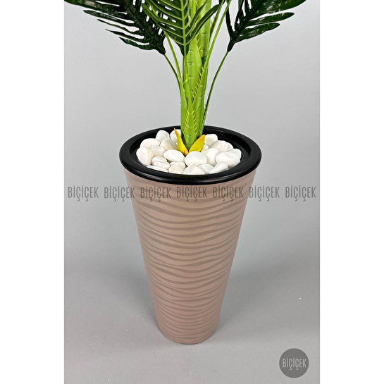 Biçiçek 150cm Areka Ağacı Kumsal Saksıda 3