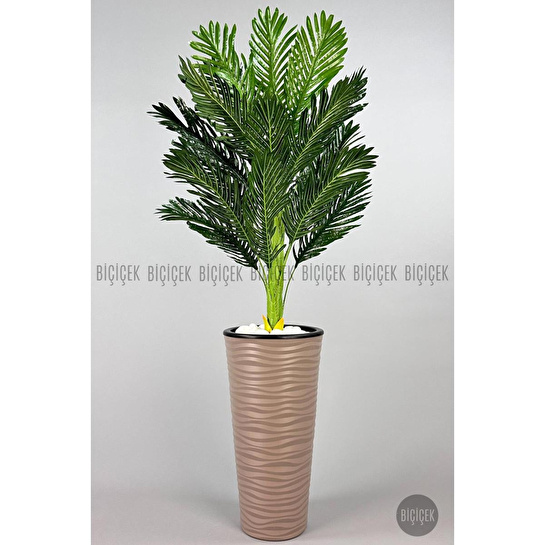 Biçiçek 150cm Areka Ağacı Kumsal Saksıda 3