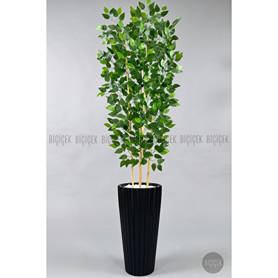 Biçiçek Yapay Bambu Ve Benjamin 4 Dal Yoğun Yapraklı 180 Cm Siyahbenjamin