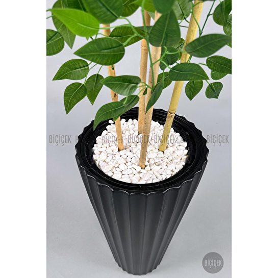 Biçiçek Yapay Bambu Ve Benjamin 4 Dal Yoğun Yapraklı 180 Cm Siyahbenjamin