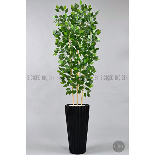 Biçiçek Yapay Bambu Ve Benjamin 4 Dal Yoğun Yapraklı 180 Cm Siyahbenjamin