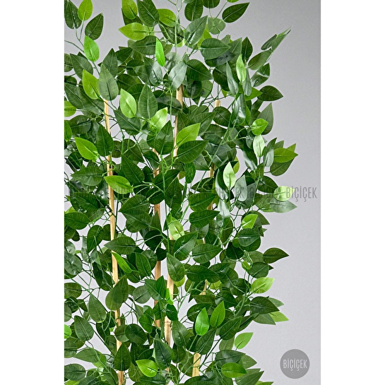 Biçiçek Yapay Bambu Ve Benjamin 4 Dal Yoğun Yapraklı 180 Cm Siyahbenjamin