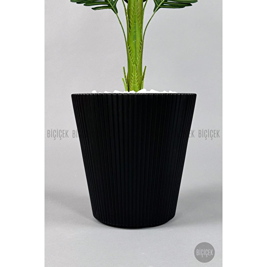 Biçiçek Yapay Areka Ağacı 160-180 Cm Siyahluna180cm