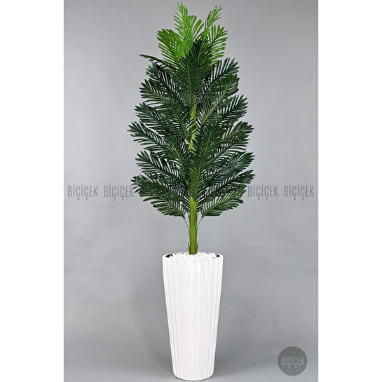 Biçiçek Yapay Areka Ağacı 220 Cm Beyaz