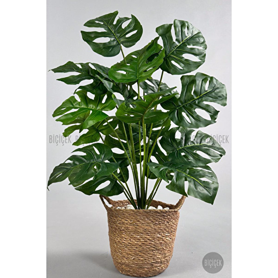Biçiçek Yapay Monstera Deve Tabanı 65-70 Cm Hasir2