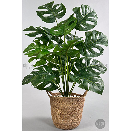 Biçiçek Yapay Monstera Deve Tabanı 65-70 Cm Hasir2
