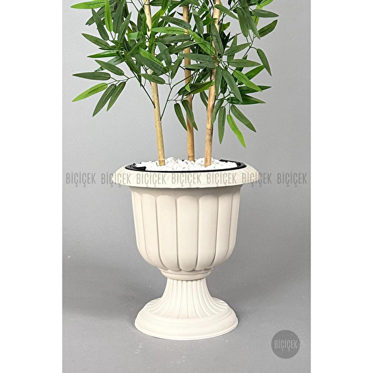 Biçiçek Yapay Bambu Ağacı 170cm Yoğun Yapraklı Kırık Beyaz Renk Nergis Saksıda