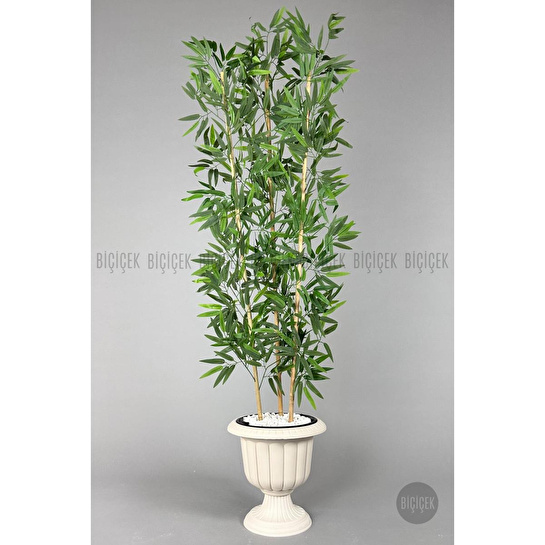 Biçiçek Yapay Bambu Ağacı 170cm Yoğun Yapraklı Kırık Beyaz Renk Nergis Saksıda