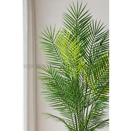 Biçiçek 180 Cm Areka Ağaci 24 Yaprakli Li̇lyum Saksida Kahverengi