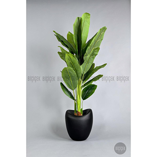 Biçiçek Yapay Muz Ağacı 185-220 Cm Siyah