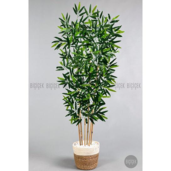 Biçiçek Yapay Bambu Ağacı 6 Dallı 150 Cm Yoğun Yapraklı Hasır2