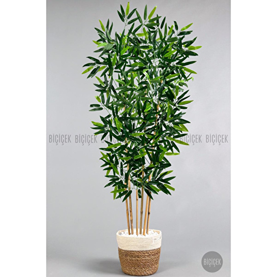 Biçiçek Yapay Bambu Ağacı 6 Dallı 150 Cm Yoğun Yapraklı Hasır2