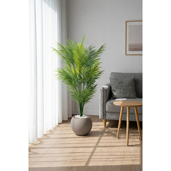 Biçiçek Areka Ağaci 24 Yaprakli 130 Cm Küre Saksida Kahverengi
