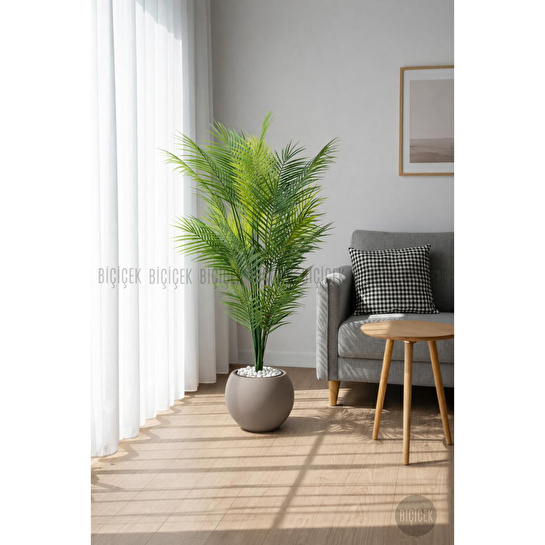 Biçiçek Areka Ağaci 24 Yaprakli 130 Cm Küre Saksida Kahverengi
