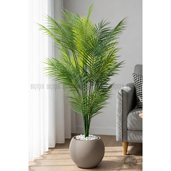 Biçiçek Areka Ağaci 24 Yaprakli 130 Cm Küre Saksida Kahverengi