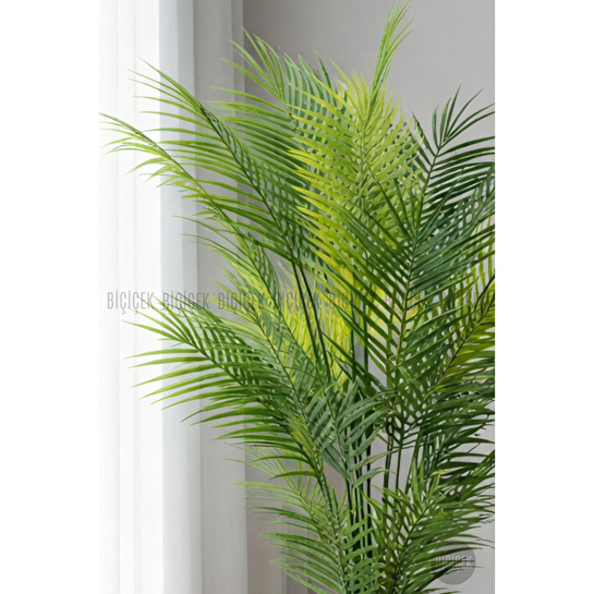 Biçiçek Areka Ağaci 24 Yaprakli 130 Cm Küre Saksida Kahverengi