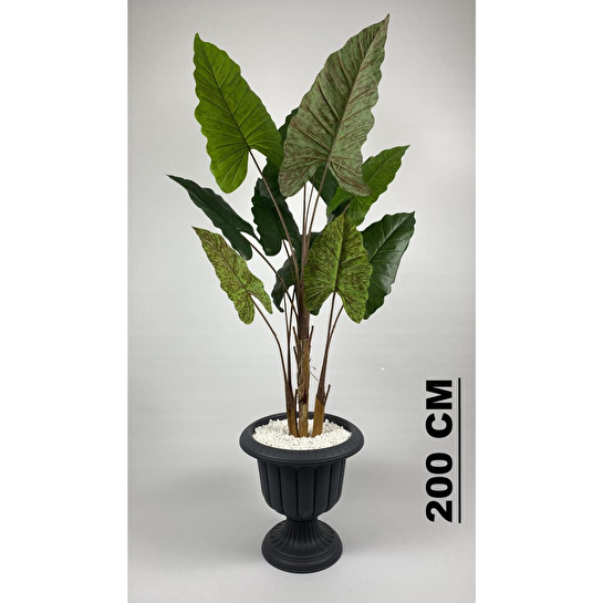 Biçiçek Yapay Ağaç Starliçe Kahverengi Difenbahya Bambu Gövdeli 240cm Büyük Boy Antrasit Renk Nergis Saksıda