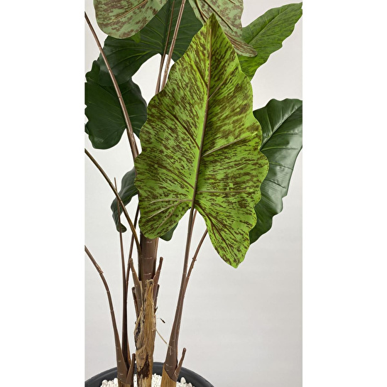 Biçiçek Yapay Ağaç Starliçe Kahverengi Difenbahya Bambu Gövdeli 240cm Büyük Boy Antrasit Renk Nergis Saksıda