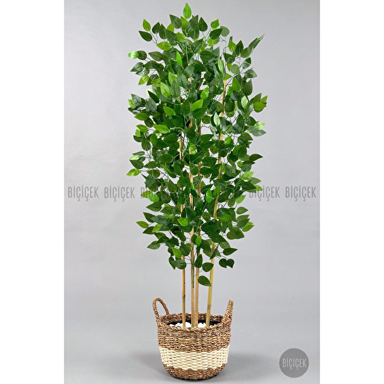 Biçiçek Yapay Benjamin Ağacı 140cm Hasır Saksıda