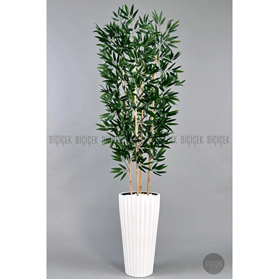 Biçiçek Yapay Bambu Ve Benjamin 4 Dal Yoğun Yapraklı 180 Cm Beyazbambu