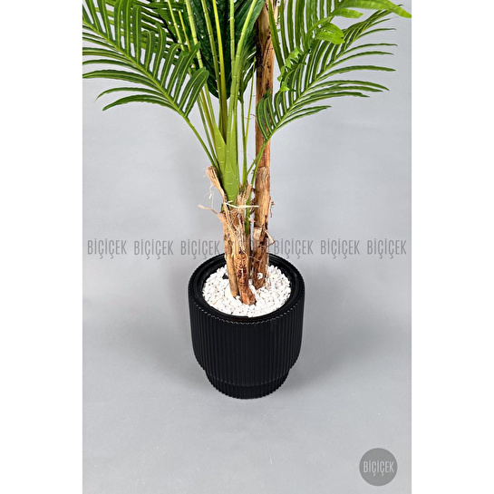 Biçiçek Areka Ağacı 220-240 Cm Siyahgala
