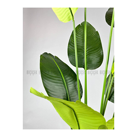 Biçiçek Yapay Muz Ağacı 145-185 Cm Siyah1