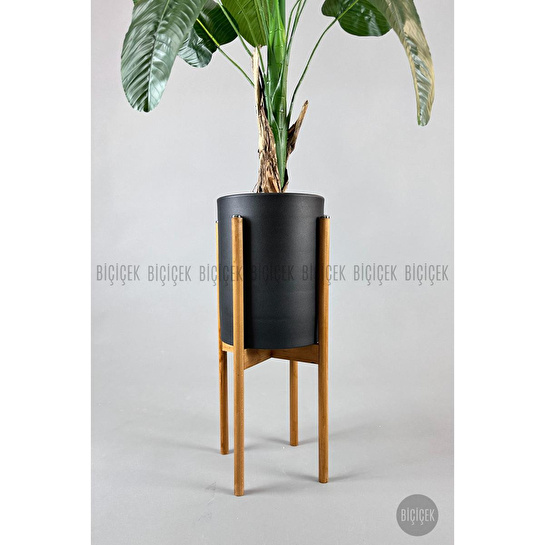 Biçiçek Muz Ağacı Tek Gövde 125-175 Cm Metalik