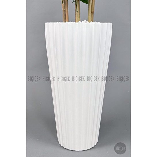 Biçiçek Yapay Bambu Ve Benjamin 6 Dallı Yoğun Yapraklı 220 Cm Beyazbenjami̇n