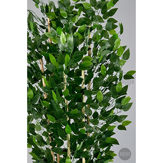 Biçiçek Yapay Bambu Ve Benjamin 6 Dallı Yoğun Yapraklı 220 Cm Beyazbenjami̇n