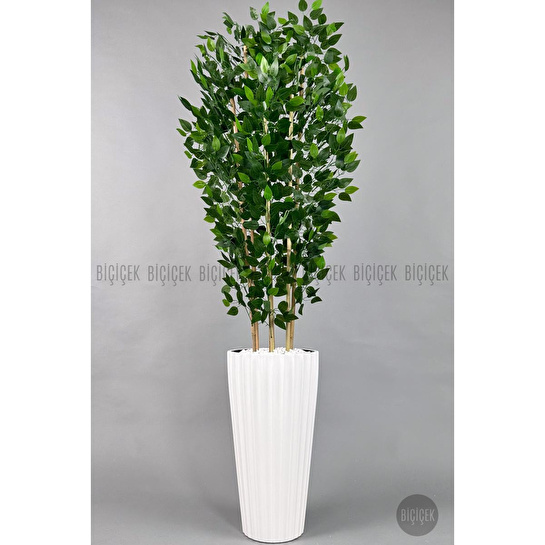 Biçiçek Yapay Bambu Ve Benjamin 6 Dallı Yoğun Yapraklı 220 Cm Beyazbenjami̇n